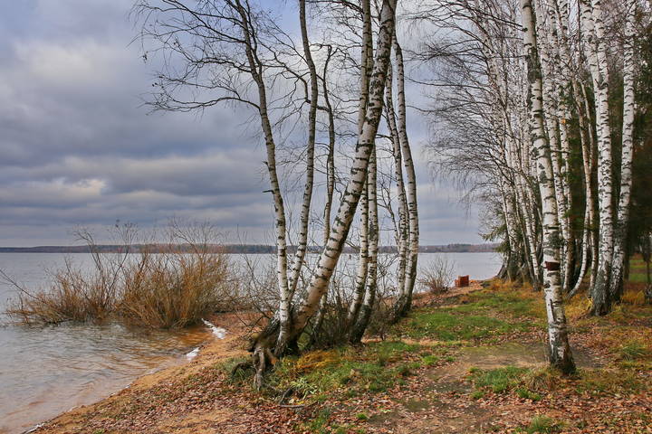  осень
