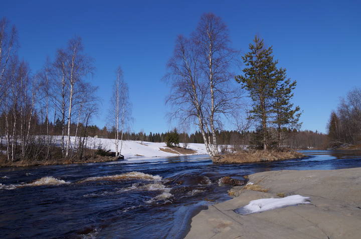 РЕКА ЯНИС