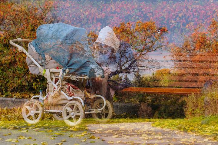 Прорастаю в Тебя , прорастаю