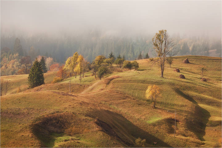 Карпатская пастораль
