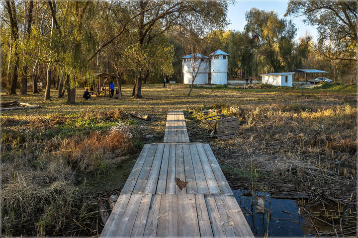 # 7