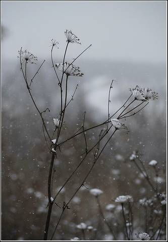 Природа