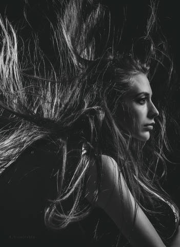 Портрет. Профиль-совокупность специфических черт. Profile is a set of specific features.