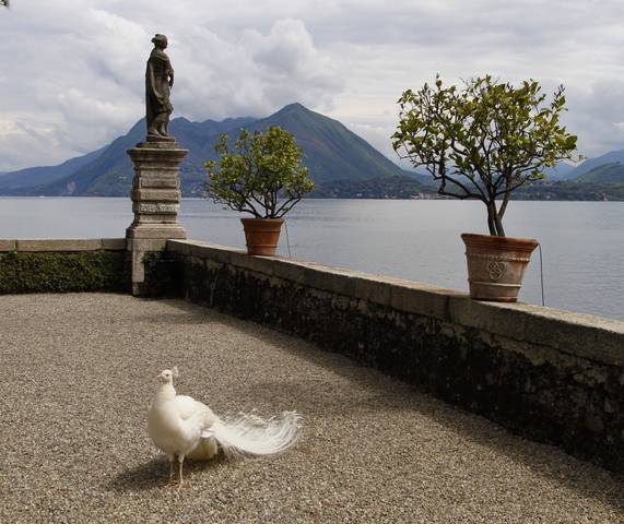 Lago Maggore