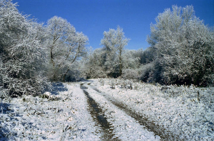 Оттепель .