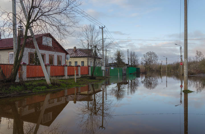 Весеннее утро