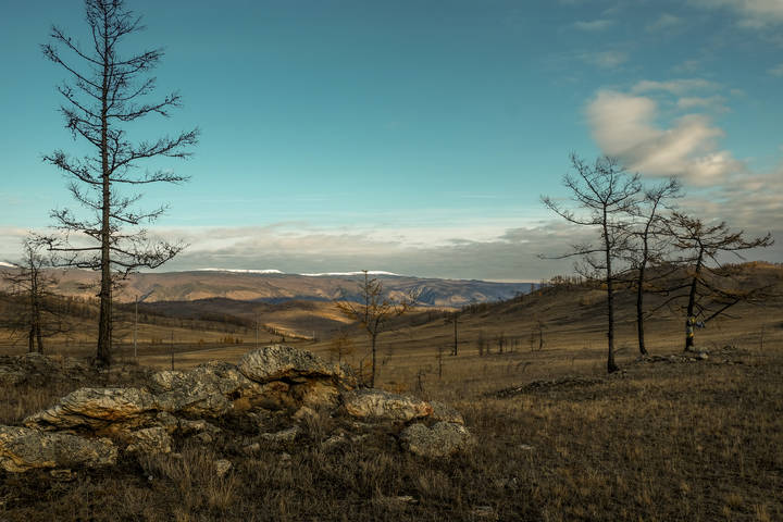 На холмах Тажеранской степи. Прибайкальский национальный парк.