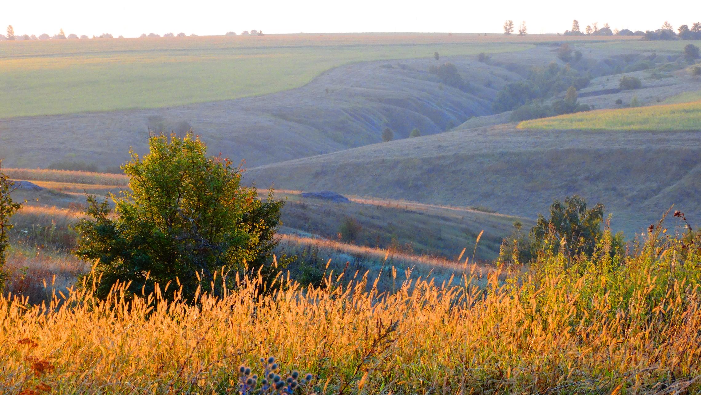 	Утренний живописный колорит хутора Выдрин. 				