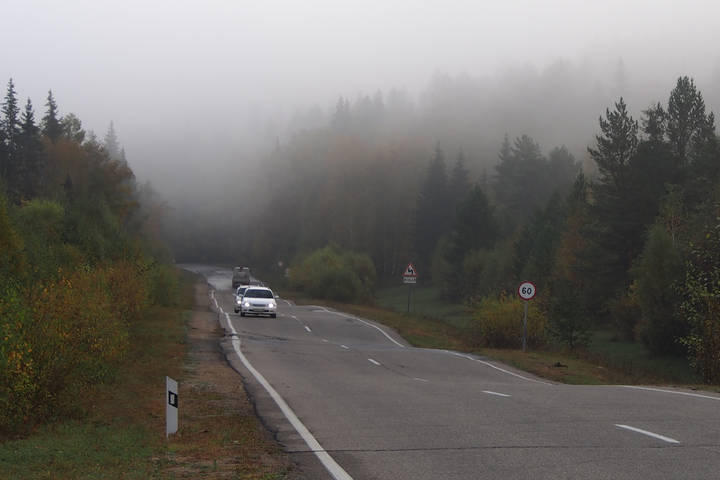 В тумане и по кривой дороге...