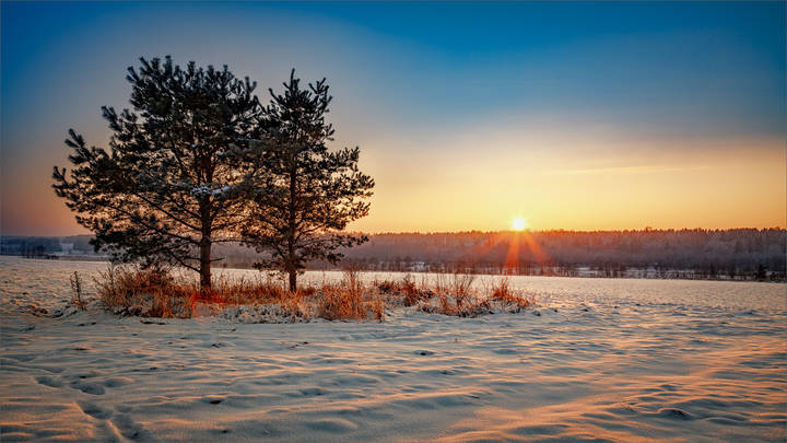 Картинка вечерняя, деревенская...