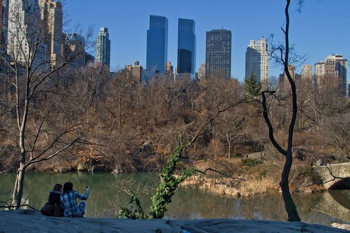 NY