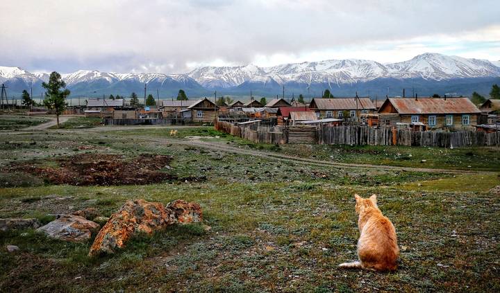 Запах Бытия…
