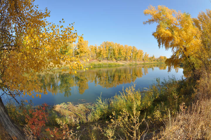 Палитра осени