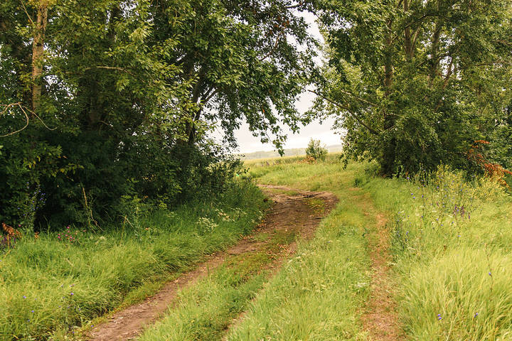 Дорожка