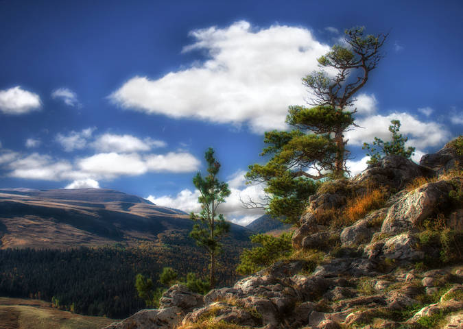 В утренних лучах