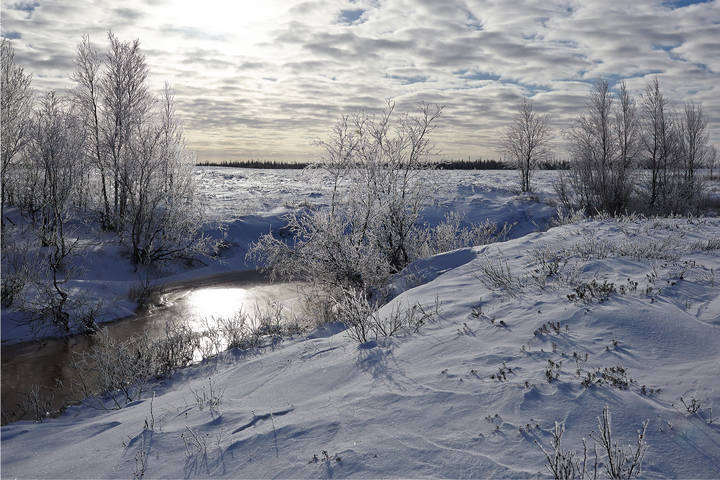 НА ЯМАЛЕ СОЛНЦЕ ХОДИТ НИЗКО...-2