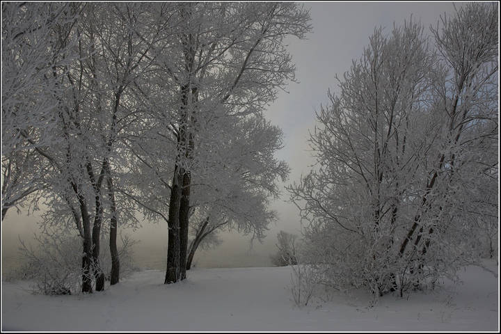Природа
