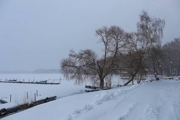  Белым снегом