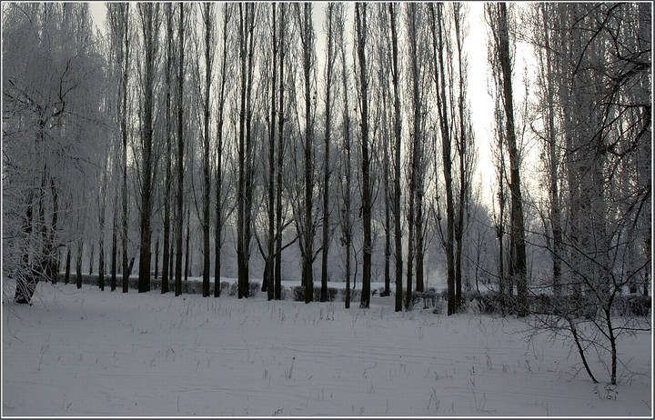 Зима в городе