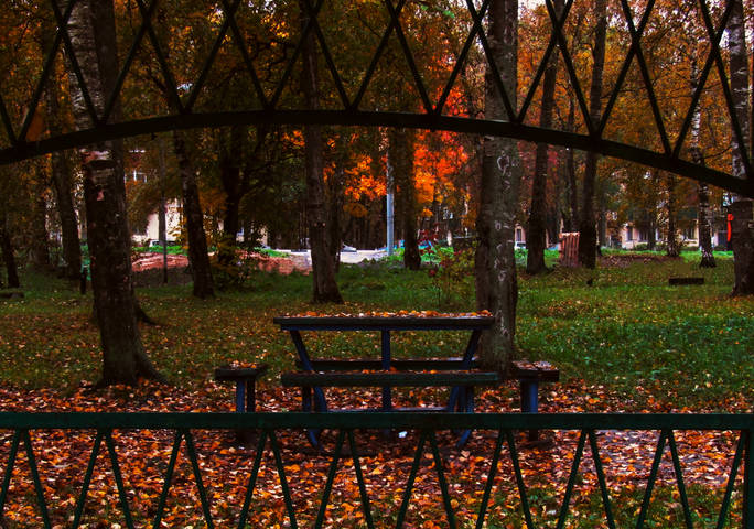 Геометрия.Осень.