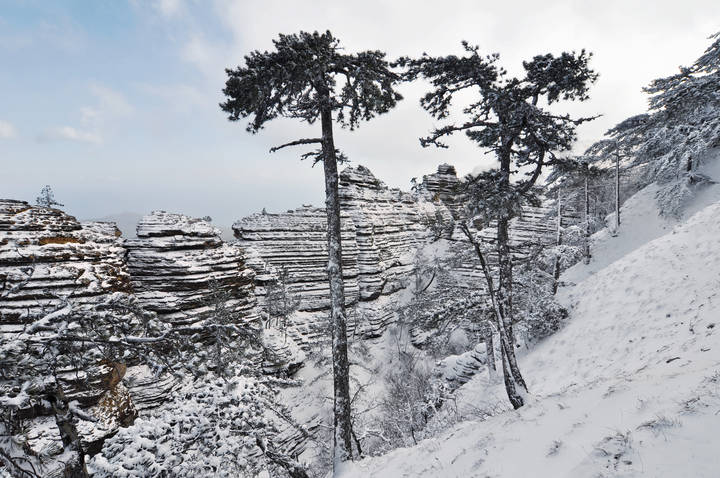 таракташ