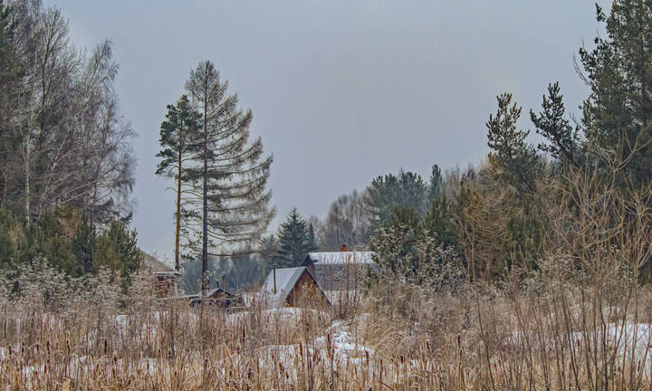 серое утро