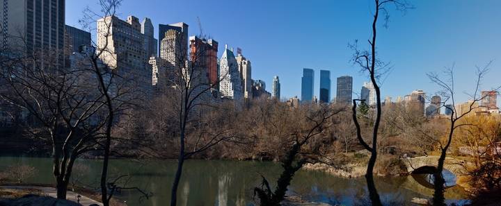 NY