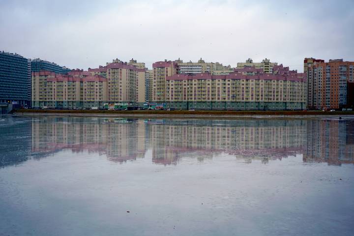 Отражения зимы