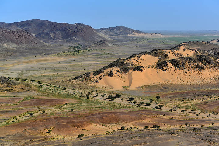Зимняя "зелень" Сахары