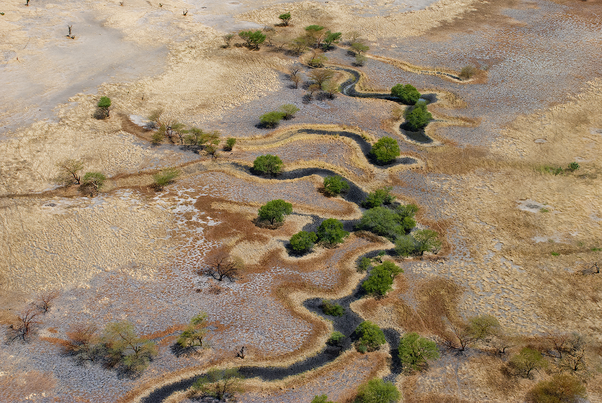 Пересыхающие реки называют. Пересыхающие русла рек в пустынях Австралии. Пересохшее русло. Пересохшее русло реки. Пересохшее поле.