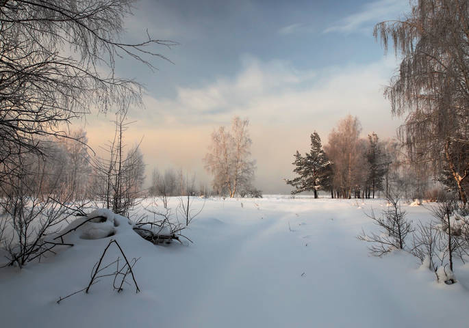 Замело пути - дороги