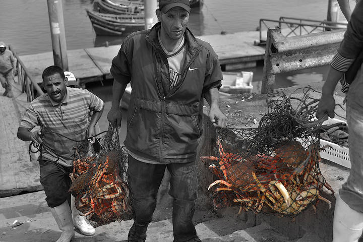 Краболовы