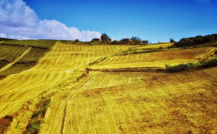 Sicily
