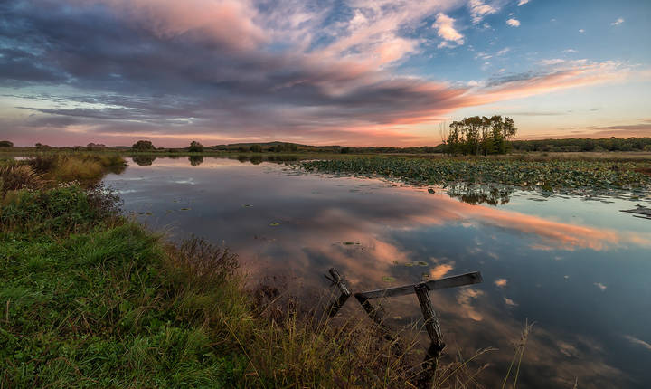 утреннее