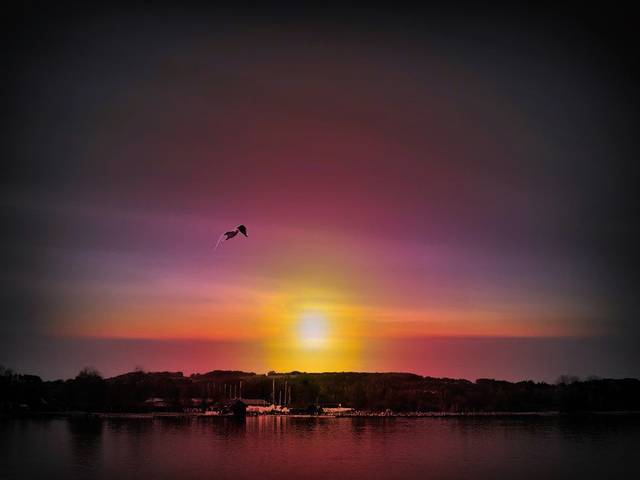 Flight of Dreams
