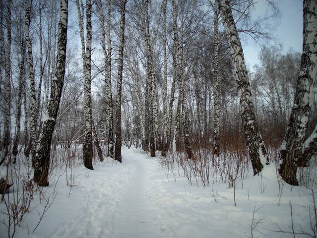 5a54dfd9e2cfda22626903e7