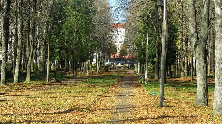 Осенняя дорожка