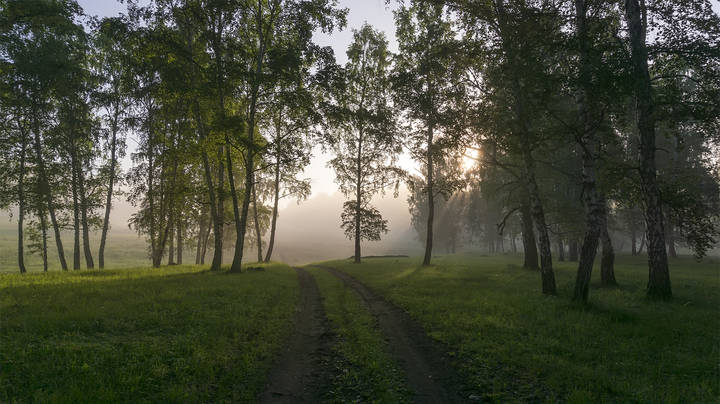 Весеннее настроение