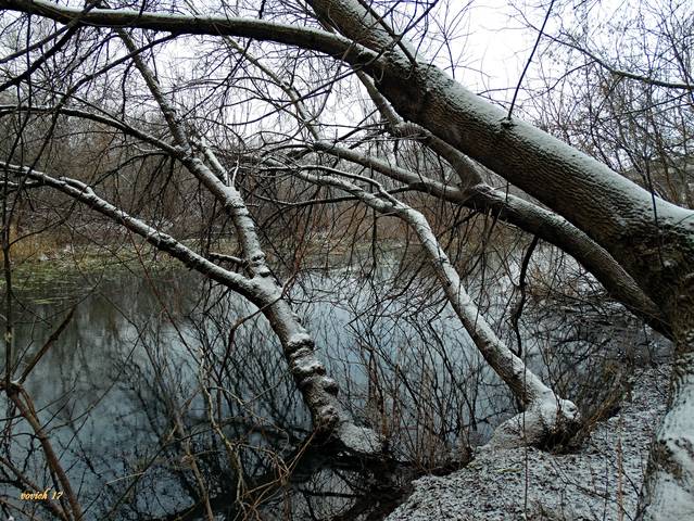 ЗАМОРОЗОК