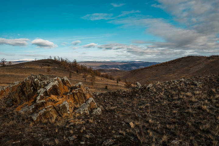На холмах Тажеранской степи. Прибайкальский национальный парк.