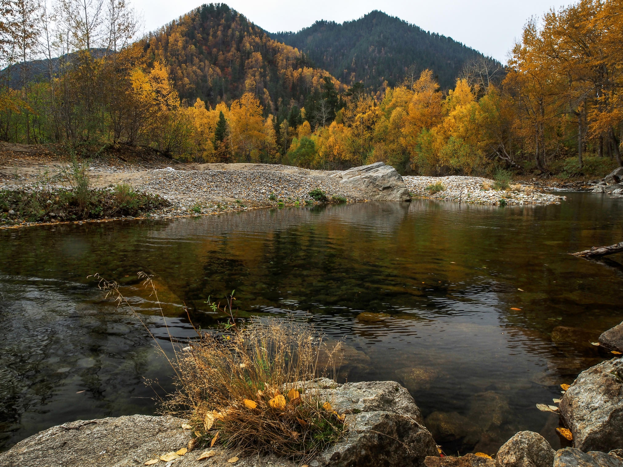 Золотая осень на реке Снежная
