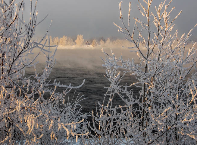 Свежая морозная зарисовка