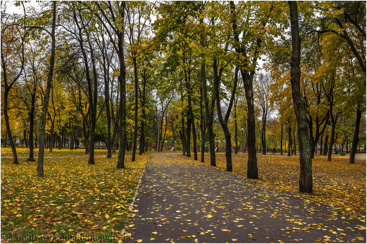 Вечерние зарисовки октября