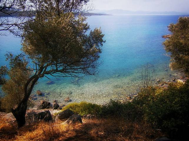 Aegean Blue / 3