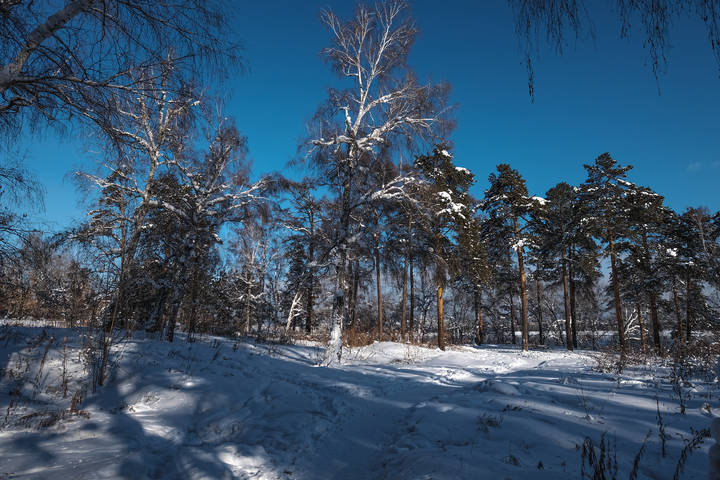 В зимнем парке.