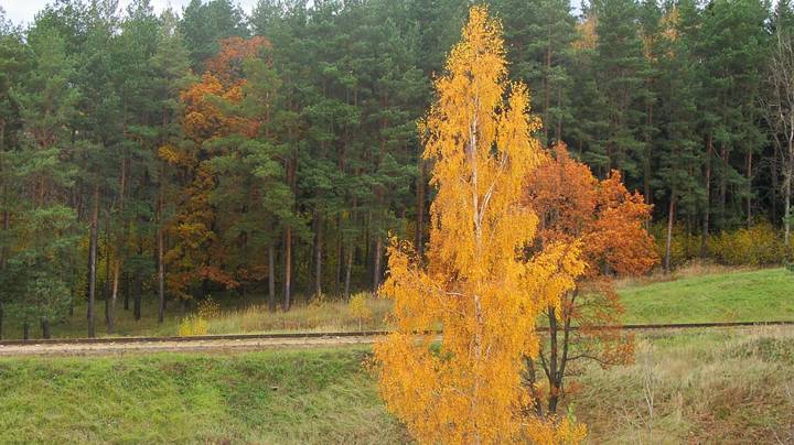 Осень 