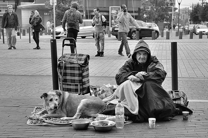 The sad dog and man.