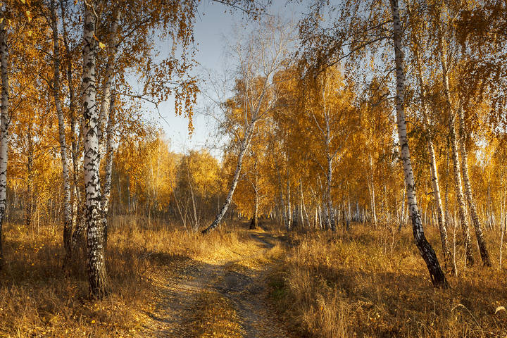 "Осенний блюз"