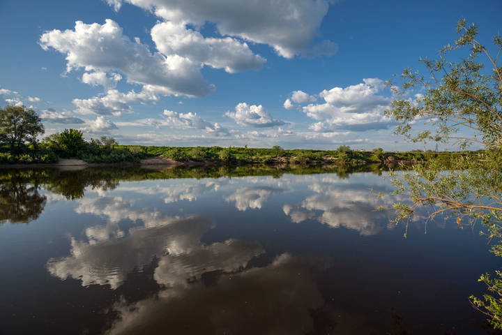 На реке
