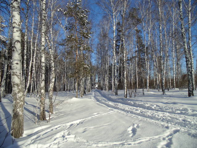 Сибирь .